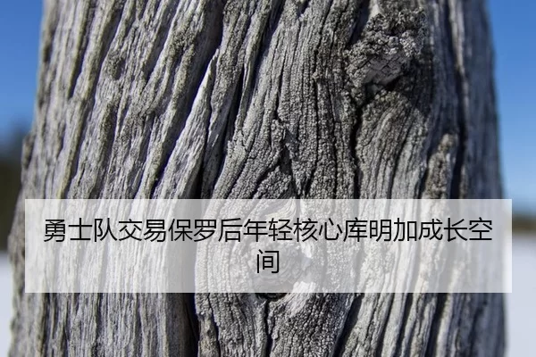 yong-shi-dui-jiao-yi-bao-luo-hou-nian-qing-he-xin-ku-ming-jia-cheng-zhang-kong-jian-2-923.jpg