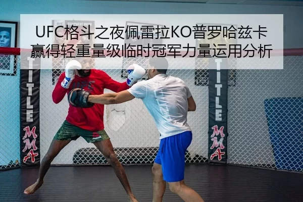 UFC格斗之夜佩雷拉KO普罗哈兹卡赢得轻重量级临时冠军力量运用分析